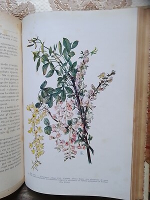 Trattato di botanica con tavole cromolitografiche